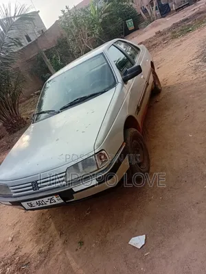 Peugeot 405 1999 Silver