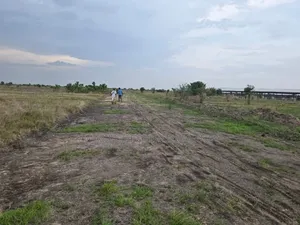 A. 4 Acres Land Is Forsale Location: Borteyman