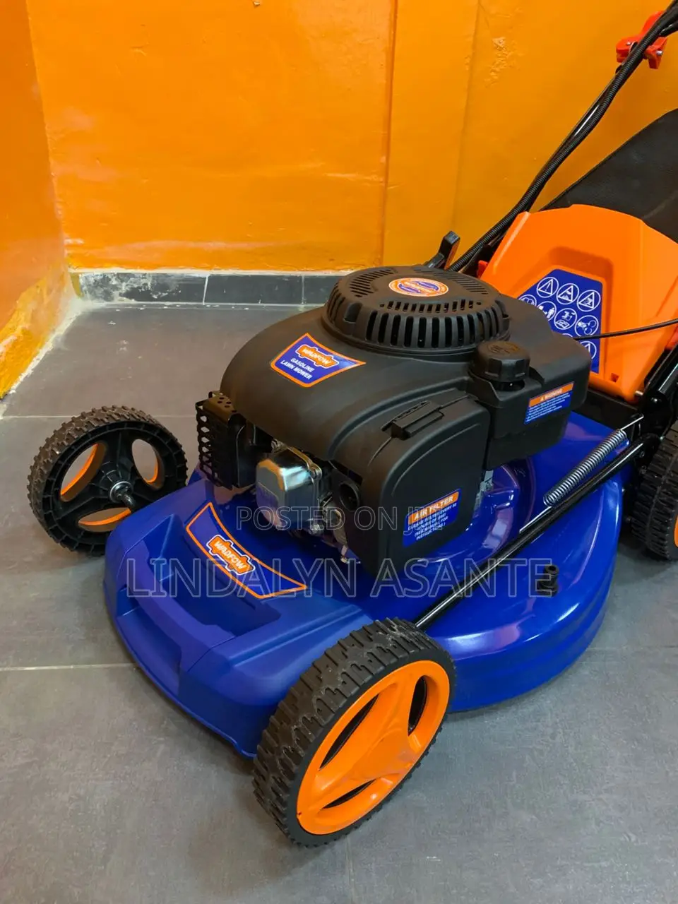 Gasoline Lawn Mower 6.0hp - Wgm6a22