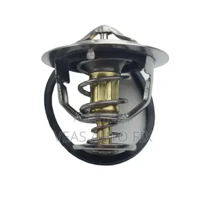 Genuine/Oem 255003c130 Thermostat Assy for Hyundai Genesis