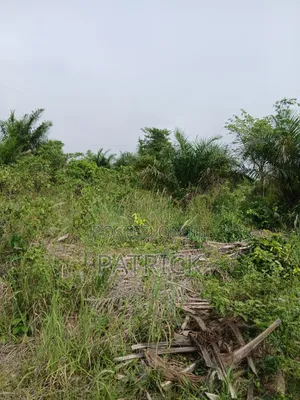 3 Plots of Land 4sale at Offinso Amoawi