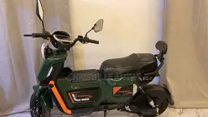 Electric Bike