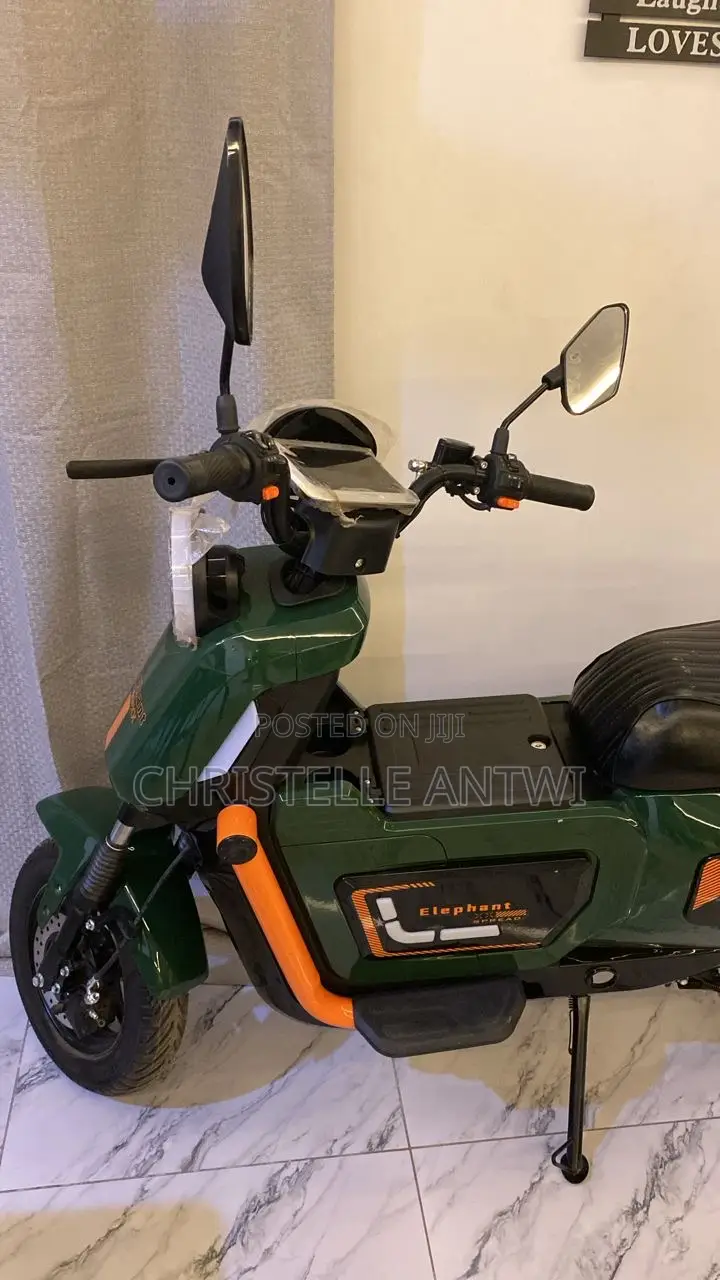 Electric Bike
