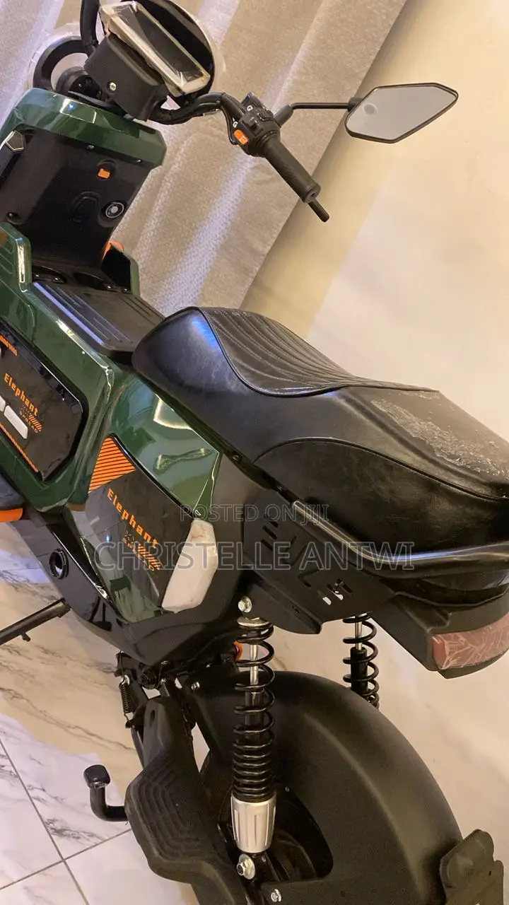 Electric Bike