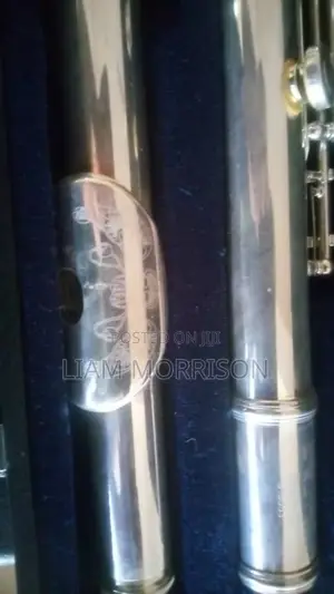 Flute Musical Instrument