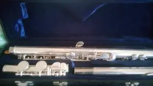 Flute Musical Instrument