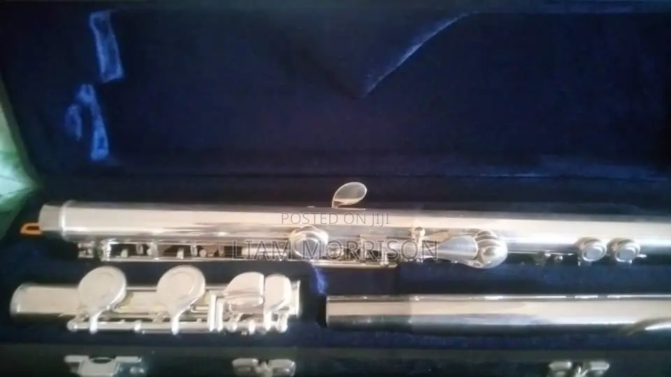 Flute Musical Instrument
