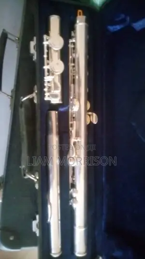 Flute Musical Instrument
