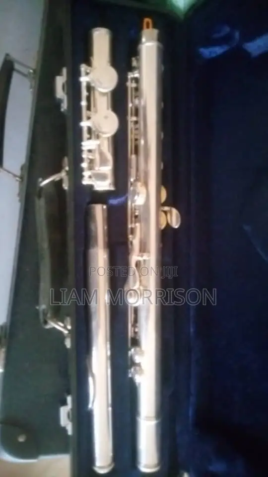 Flute Musical Instrument