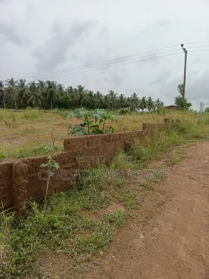 2plots Right Behind Fence Wall Near Hobor Market After Ashalaja