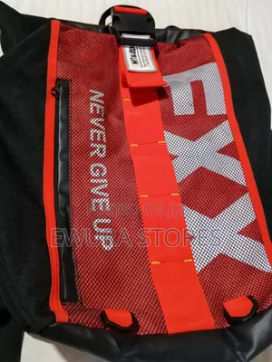A Fashionable Backpack Orange, Gray Black