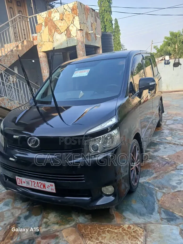 Car Rentals