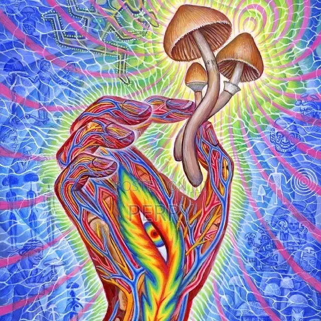 Magic Mushrooms(Psychedelic) Whatsapp Only