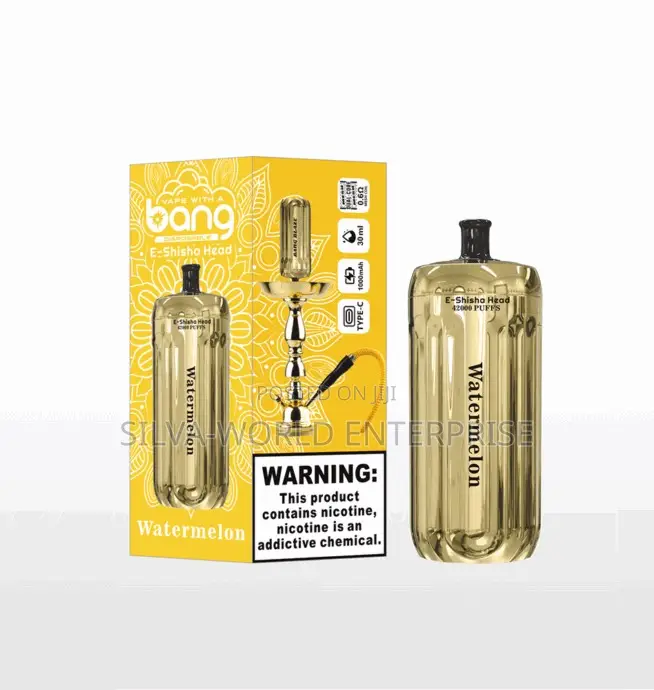 Bang Blaze 42000 Puffs