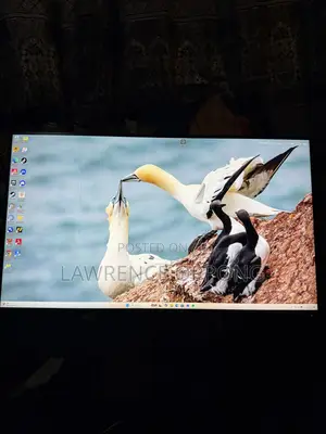 1440p Ips Monitor