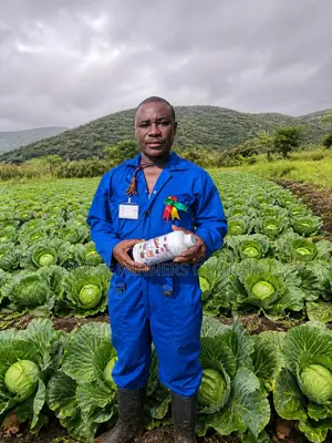 Vital O5: Helping Cabbage and Vegetable Farmers Achieve Better Results