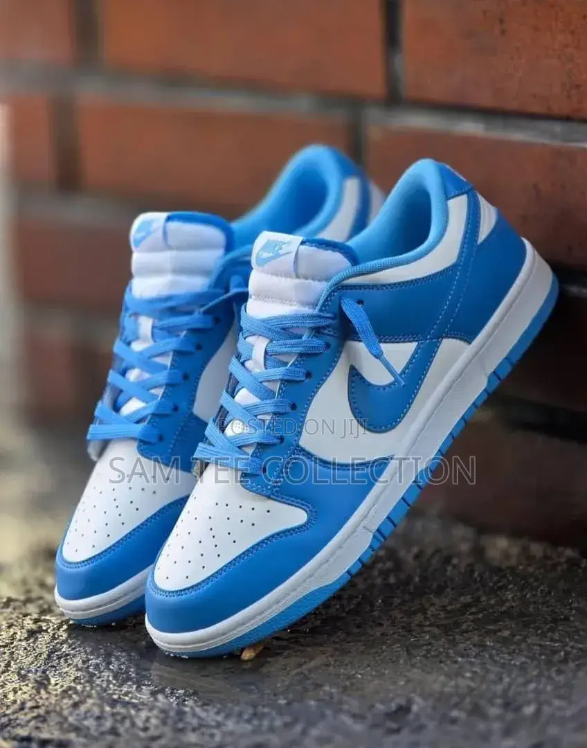 Nike Sb Special Editions. High -Quality and Affordable.