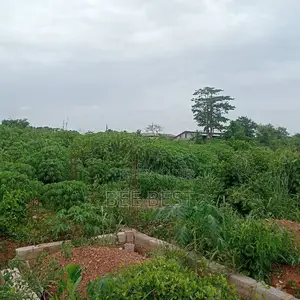 Full Plot With Five Bedroom Foundation on Half of It.