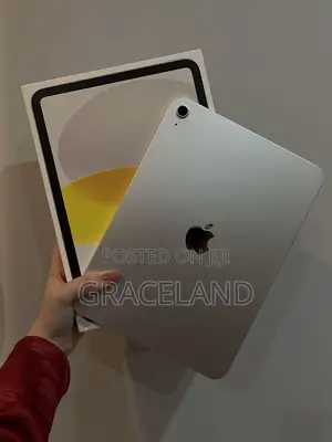 New Apple iPad Wi-Fi 256 GB Silver