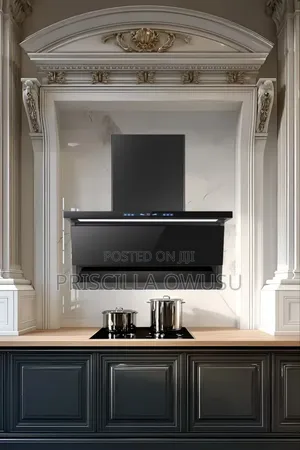 Modern Heat Extractor Built In