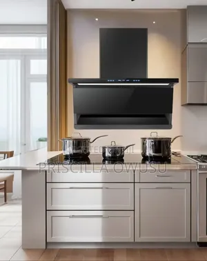 Modern Heat Extractor Built In