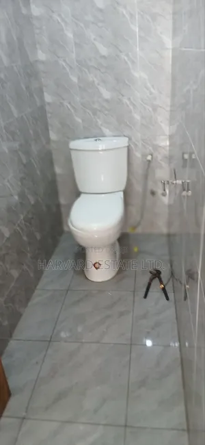 1bdrm Apartment in Tech Appiadu Knust, Kumasi Metropolitan for rent