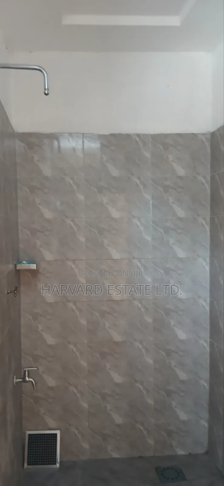 1bdrm Apartment in Tech Appiadu Knust, Kumasi Metropolitan for rent
