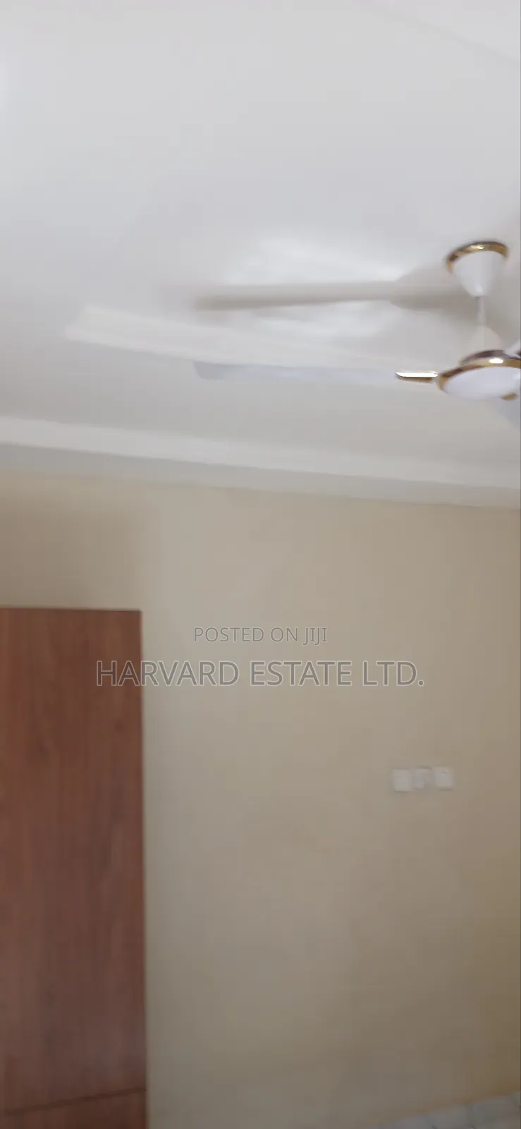 1bdrm Apartment in Tech Appiadu Knust, Kumasi Metropolitan for rent