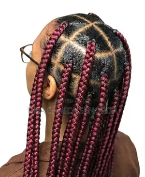 Beauty And Braids