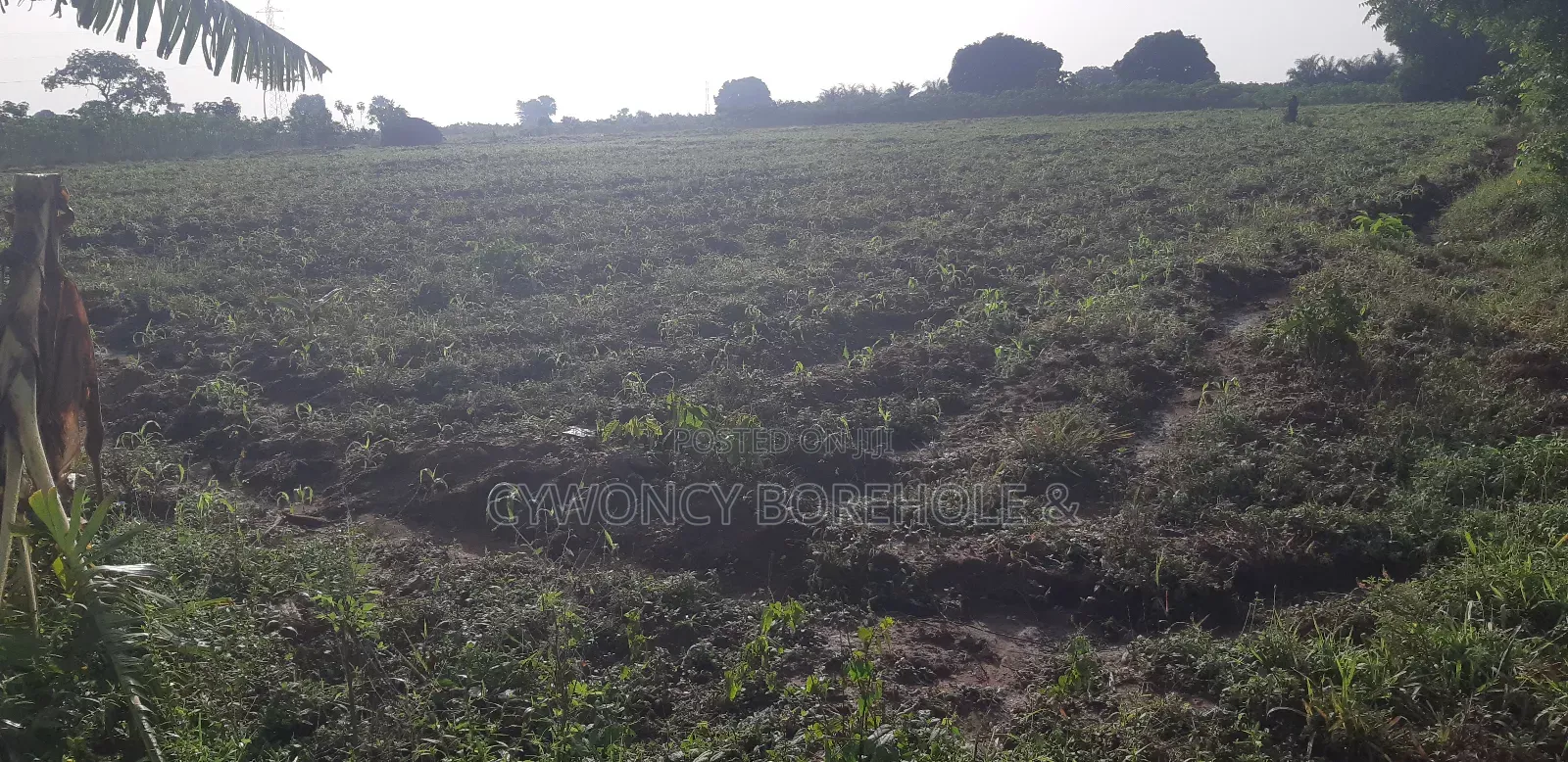Farm Management