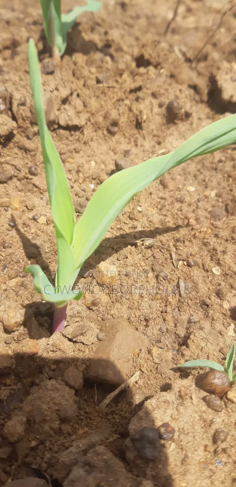 Farm Management
