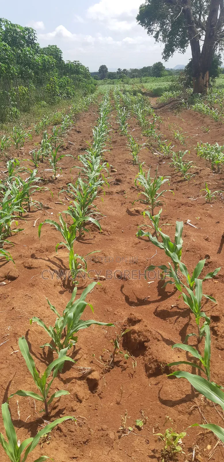 Farm Management