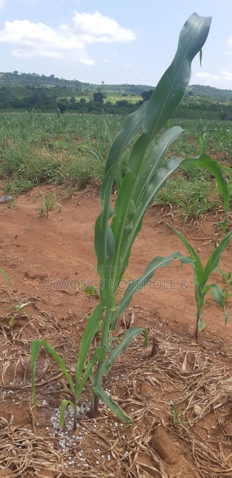 Farm Management