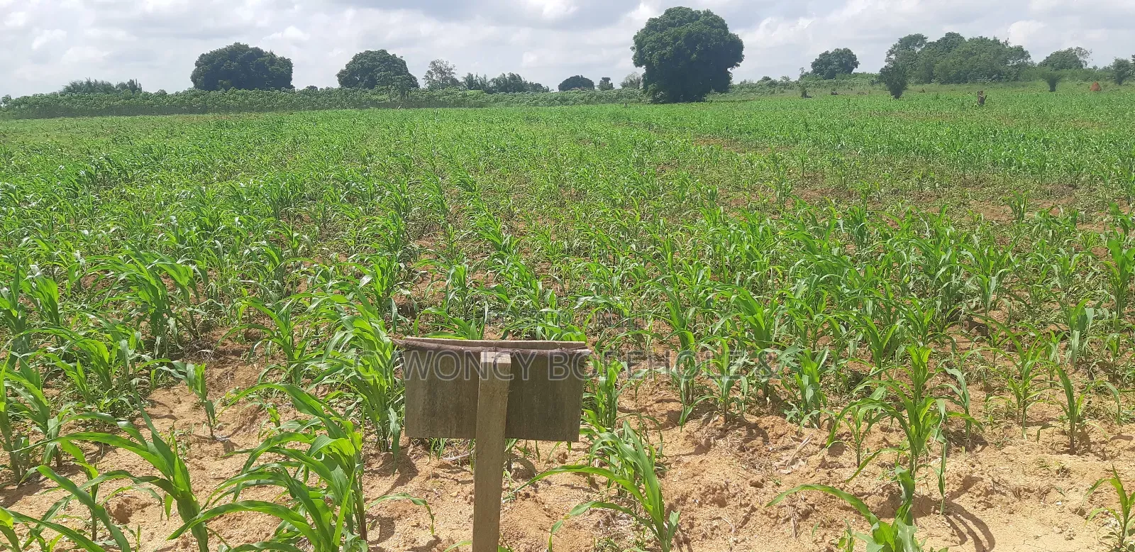 Farm Management