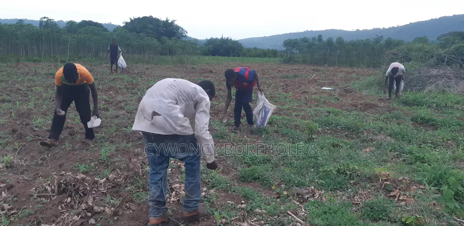 Farm Management