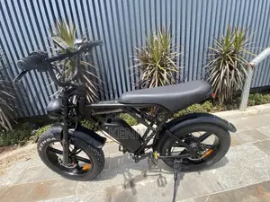 Eletric Bikes
