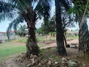 Land Plot of Land for Sale Location Parakuo Estate