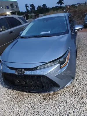 Toyota Corolla LE 2020 Silver