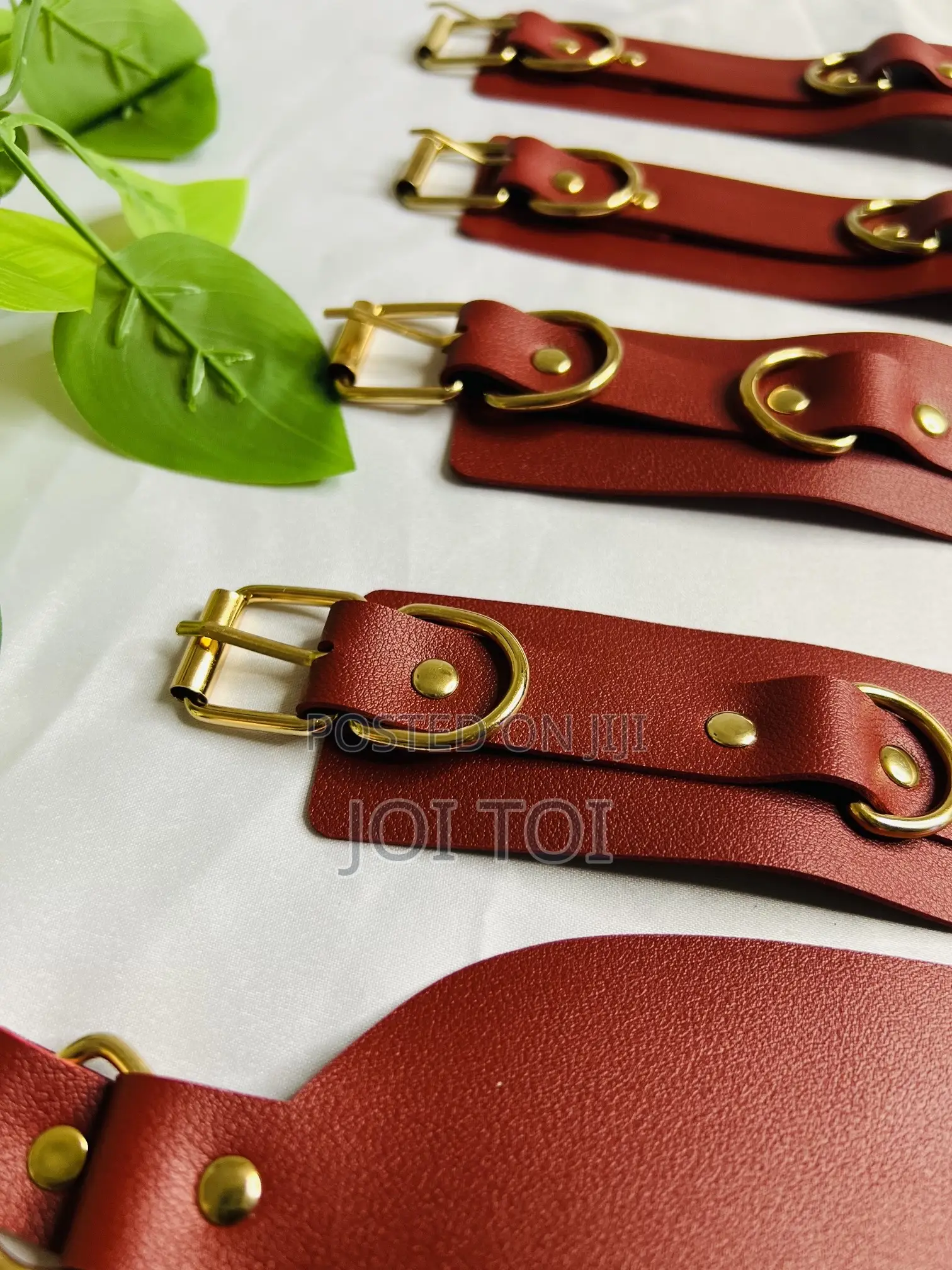 Charm Restraint Set