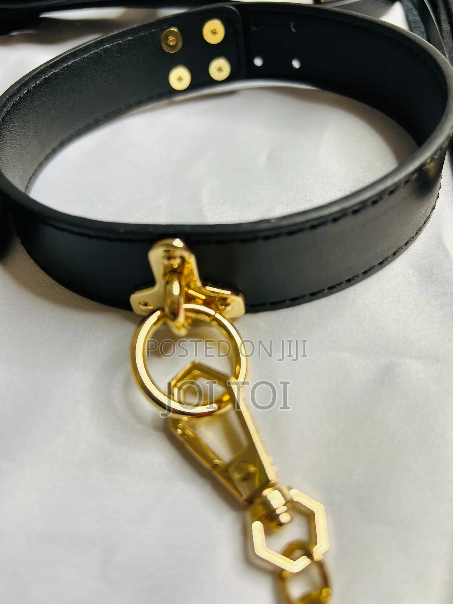 Sophisticated BDSM Set
