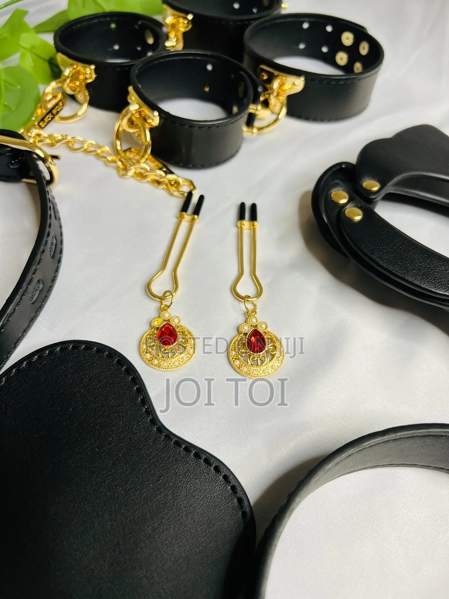 Sophisticated BDSM Set
