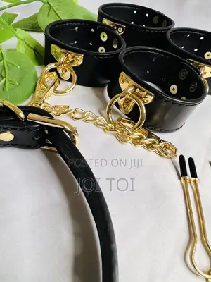 Sophisticated BDSM Set