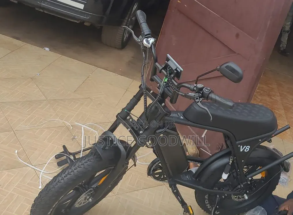 Phat Bike ( Netherlands Europe )