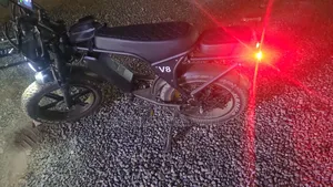 Phat Bike ( Netherlands Europe )