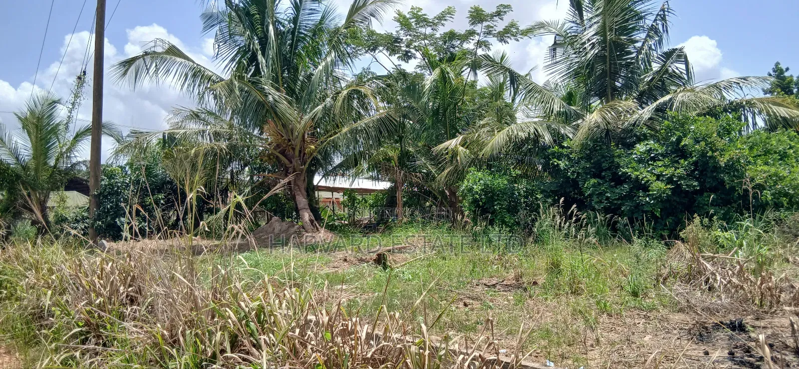 Roadside 2 Plots of Land for Sale at Tech Appiadu Near Knust Campus