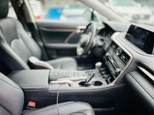 Lexus RX 2021 Gray