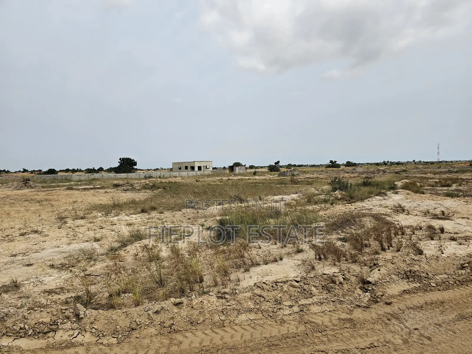 Start Small With a 70x50 Half Plot at Tsopoli Skypot City