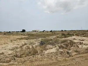 Start Small With a 70x50 Half Plot at Tsopoli Skypot City