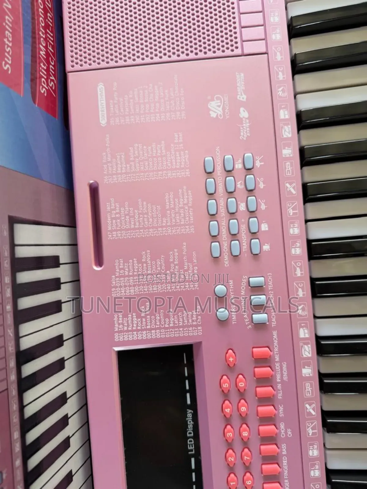 Yongmei Ym-288 Multi-Functional Digital Teaching Keyboard With 61 Keys