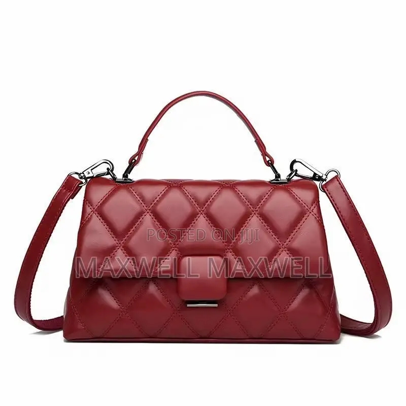 Classy Bag and Clutches